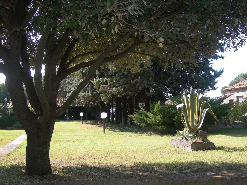 Tenuta Di Pontesodo Montalto di Castro Zewnętrze zdjęcie