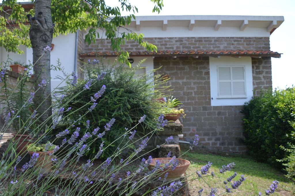 Tenuta Di Pontesodo Montalto di Castro Zewnętrze zdjęcie