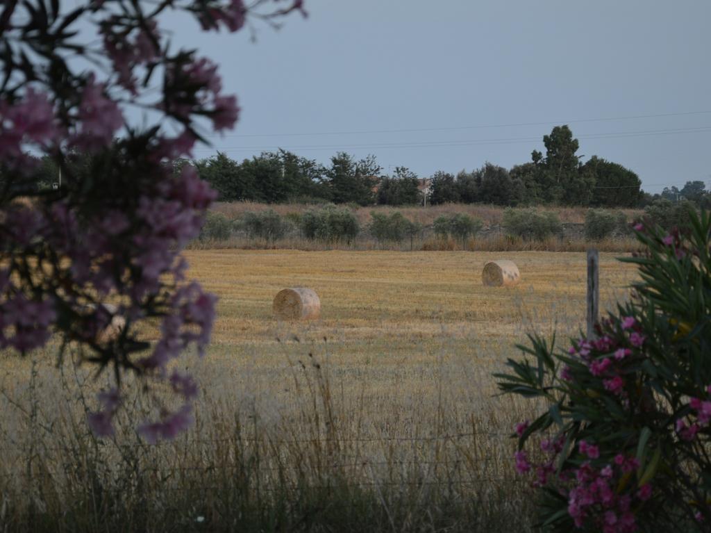 Tenuta Di Pontesodo Montalto di Castro Zewnętrze zdjęcie