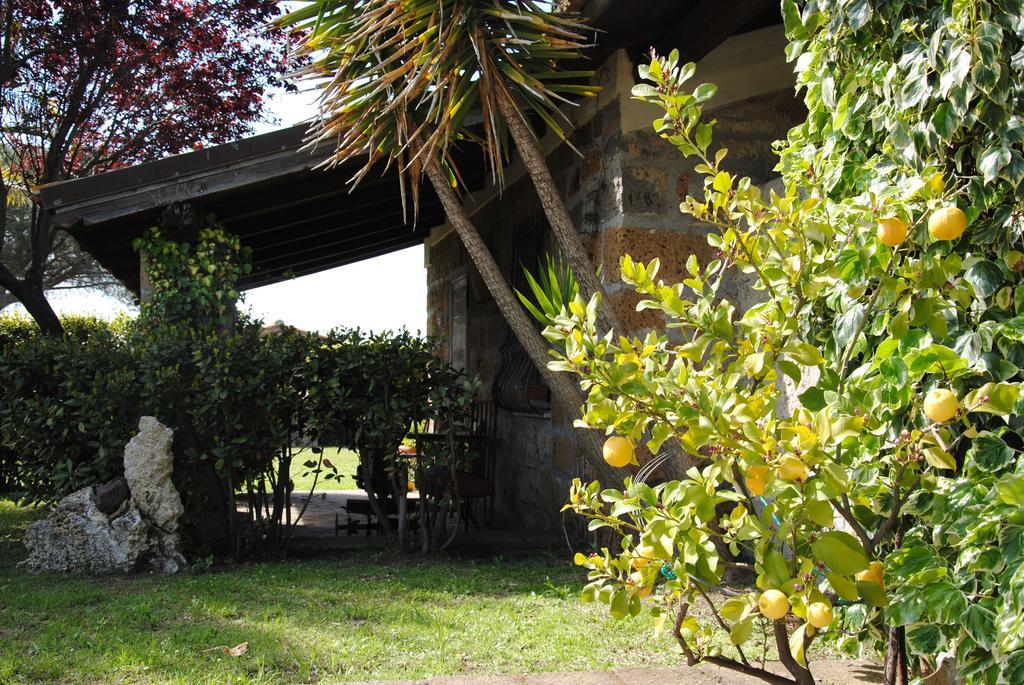 Tenuta Di Pontesodo Montalto di Castro Zewnętrze zdjęcie